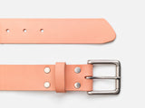No. 289 Roller Bar Belt